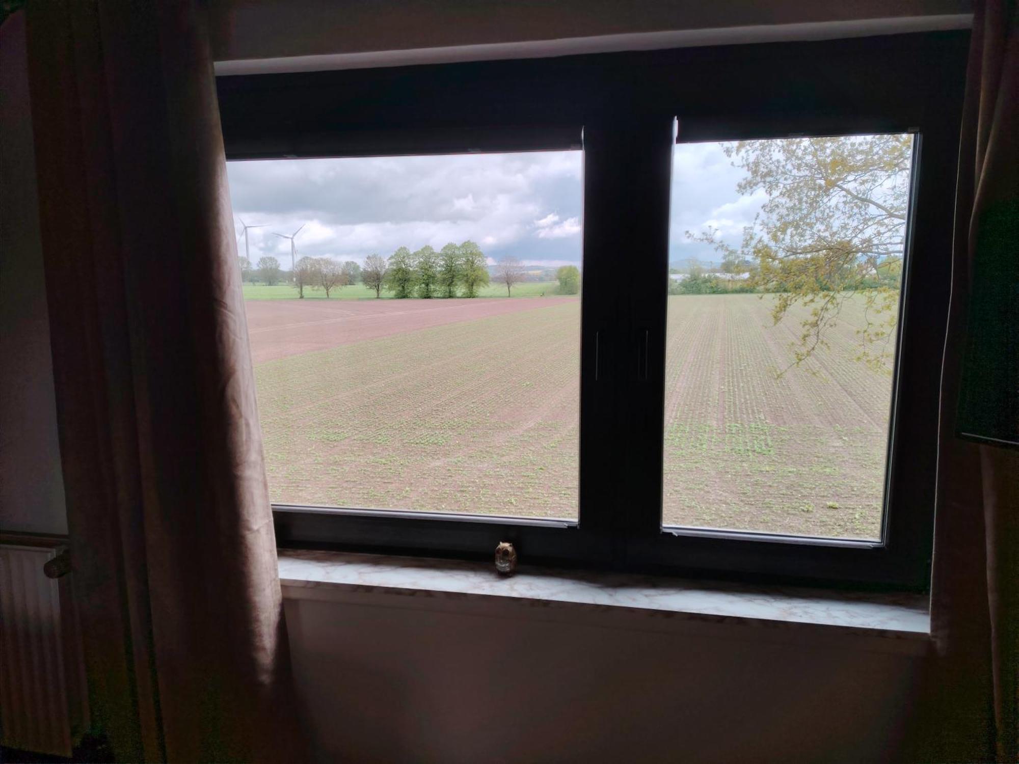 Brini'S Ferienwohnung Im Gruenen Lage  Экстерьер фото